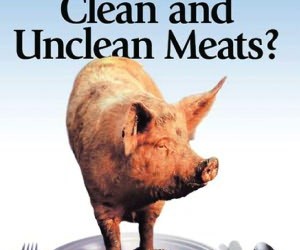 All Foods Are Clean! There is No Such Thing As Unclean Food!
