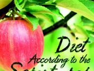 Health and Diet According To The Scriptures by Paul Nison
