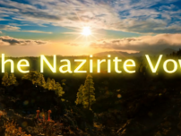 Torah Portion #35 Naso (Numbers 4:21-7:89)