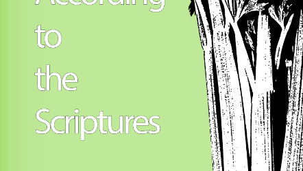 Diet According to The Scriptures by Paul Nison (2013) 