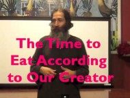 The Time To Eat According to Our Creator