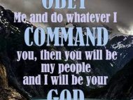 Jeremiah 11