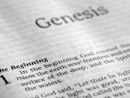 Genesis 6