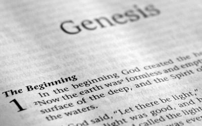 Genesis 45
