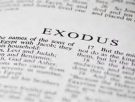 Exodus 29