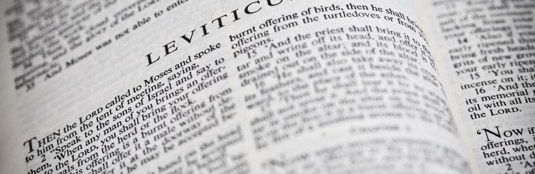 Leviticus 6 Daily Bible Reading with Paul Nison