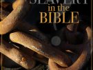 What is slavery in the bible?