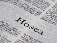 Hosea 14