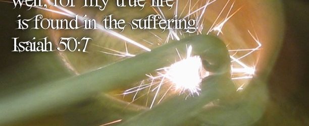 From Prison to Praise - Sing In Darkness