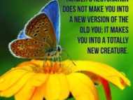 A New Heart-Masterfully Restored