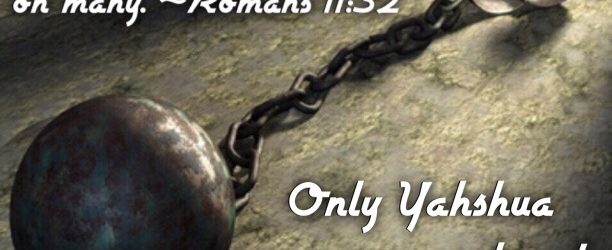Divine Discipline
