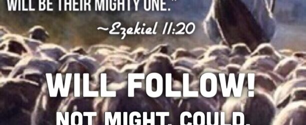 I Will Follow