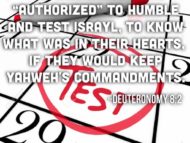 The Testing of Yahweh