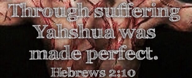 Blessed by Suffering