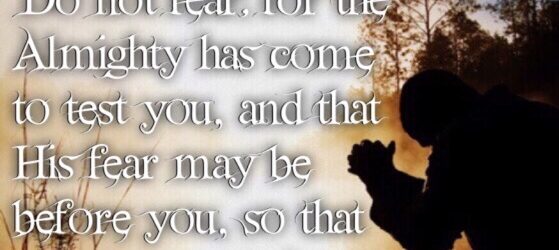 To Fear or Not to Fear