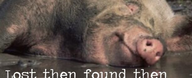 With Yahweh You are Never Lost