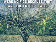 The Fig Tree and Its Lesson