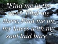 The River