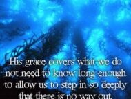 The Cost and His Grace