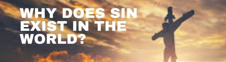 Why Does Sin Exist In The World?