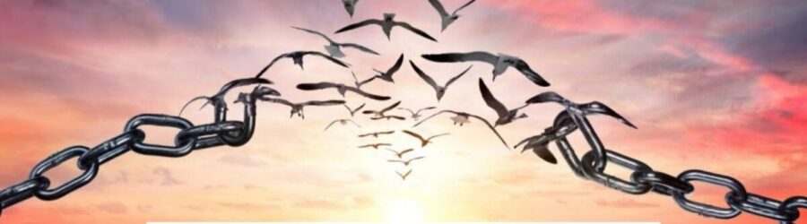 The Power of Forgiveness