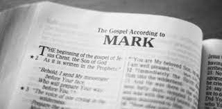 Mark 2 Daily Bible Reading with Paul Nison