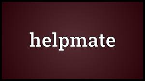 Bible Discussion: What does it mean to be a helpmate?