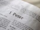 1 Peter 5 Daily Bible Reading with Paul Nison