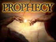 The difference between a false prophet and true prophet