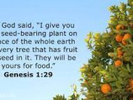 The Bible Diet For Health and Overcoming Disease