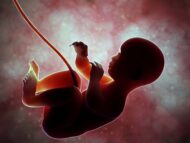 Killing Babies Is Worse Than War. Where is the media coverage