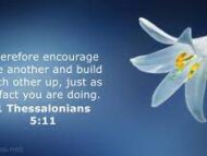 Encouragement from The Word