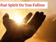 What spirit are you following