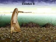 Exodus 8 Let My People Go