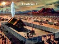 Leviticus 7 The Law of The Offerings