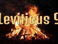 Leviticus 9 The Glory Of Yah is Seen