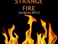 Leviticus 10 A strange fire