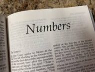 Torah Reading Numbers 16