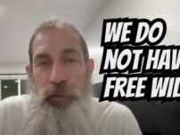 We do not have free will
